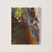 Nahen von einem amerikanischen Alligator am J.N. Puzzle (Vertikal)