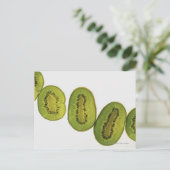 Nahen von fünf Scheiben Kiwi Postkarte (Stehend Vorderseite)