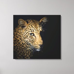 Nahen von Leopard, Greater Krüger National 2 Leinwanddruck