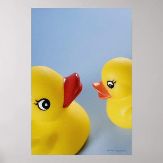 Nahen von zwei Gummienten Poster (Vorne)