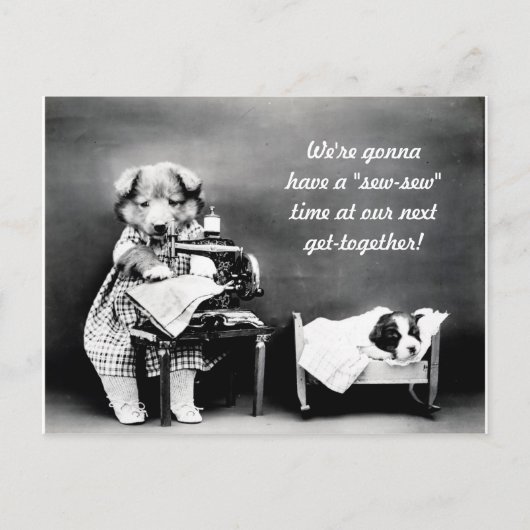 "Nähen" Zeit Vintager Hund Postkarte (Vorderseite)