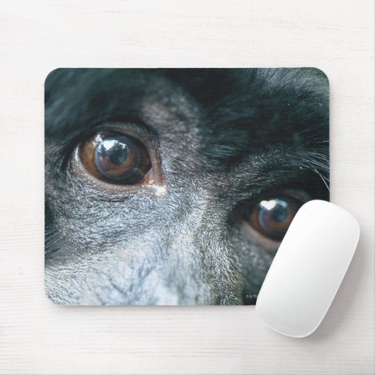 Naher Affen Mousepad (Mit Mouse)