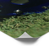 Naher amerikanischer Fußballhelm im Gras Poster (Ecke)