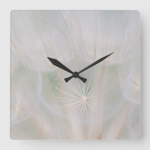 Naher Anbau eines Samenkopfes, Kanada Quadratische Wanduhr