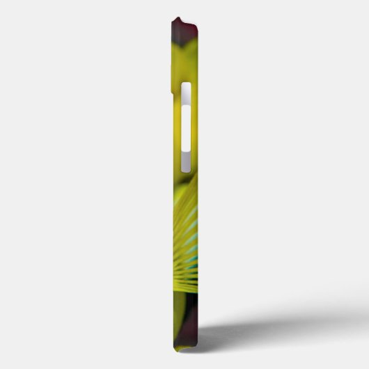 Naher Angelfisch Case-Mate iPhone Hülle (Rückseite / Links)