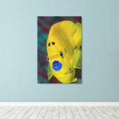 Naher Angelfisch Leinwanddruck (Insitu (Holzboden))