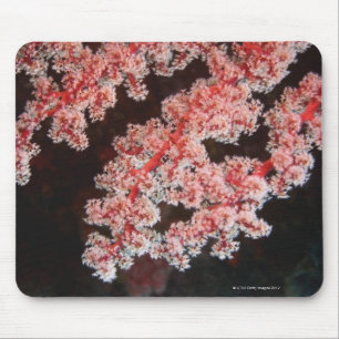 Naher Anlauf von Sea Fan unter Wasser, Nord-Sulawe Mousepad
