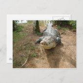 Naher Anruf Postkarte (Vorne/Hinten)