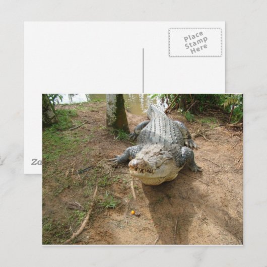 Naher Anruf Postkarte (Vorne/Hinten)