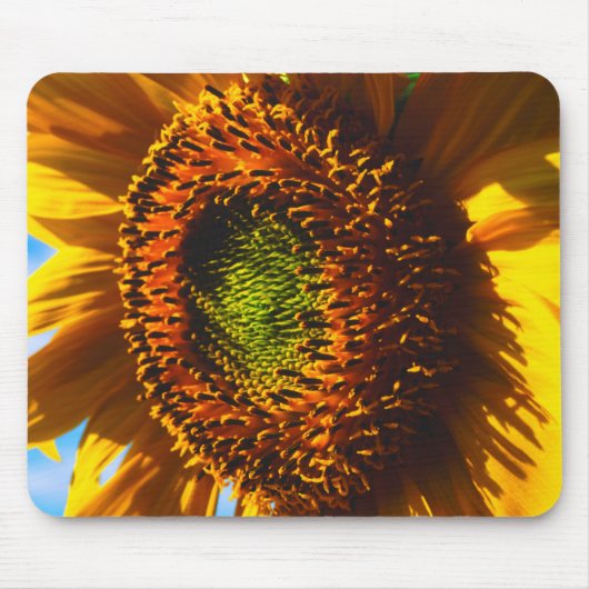 Naher Aufbau einer Sonnenblume Mousepad (Vorne)