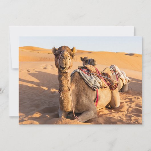 Naher Aufstieg auf Camel in der Oman-Wüste Einladung (Vorderseite)
