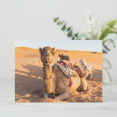 Naher Aufstieg auf Camel in der Oman-Wüste Einladung (Stehend Vorderseite)