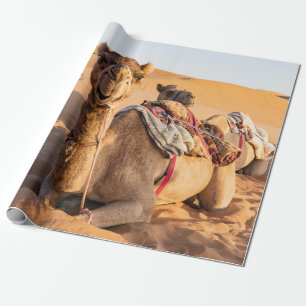 Naher Aufstieg auf Camel in der Oman-Wüste Geschenkpapier
