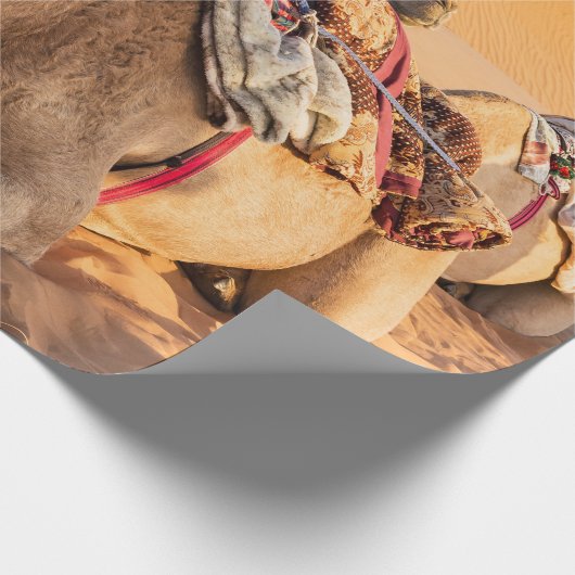 Naher Aufstieg auf Camel in der Oman-Wüste Geschenkpapier (Ecke)