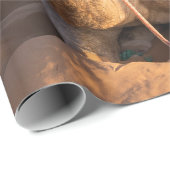 Naher Aufstieg auf Camel in der Oman-Wüste Geschenkpapier (Rolleneckpunkt)