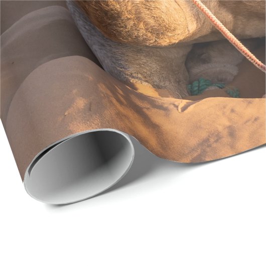 Naher Aufstieg auf Camel in der Oman-Wüste Geschenkpapier (Rolleneckpunkt)