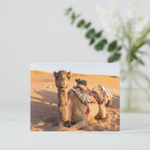 Naher Aufstieg auf Camel in der Oman-Wüste Postkarte (Stehend Vorderseite)