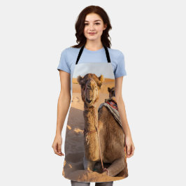 Naher Aufstieg auf Camel in der Oman-Wüste Schürze