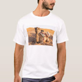 Naher Aufstieg auf Camel in der Oman-Wüste T-Shirt (Vorderseite)