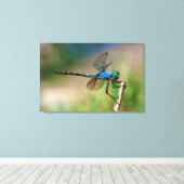 Naher Aufstieg eines blauen Drachen fliegt auf ein Leinwanddruck (Insitu (Holzboden))