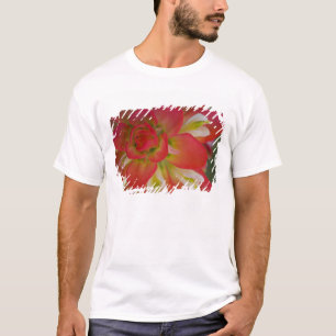 Naher Aufstieg von Indian Paint Brush bei Gay Hill T-Shirt