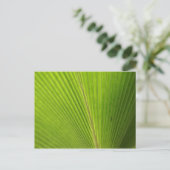Naher Aufstieg von Palm Leaf Postkarte (Stehend Vorderseite)