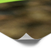 Naher Auftritt des costa-ricanischen Cobalt Dyeing Poster (Ecke)