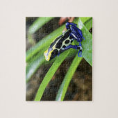 Naher Auftritt des costa-ricanischen Cobalt Dyeing Puzzle (Vertikal)