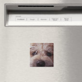 Naher Aufwärtsmagnet der Welpenseite Magnet (In Situ (Geschirrspüler))