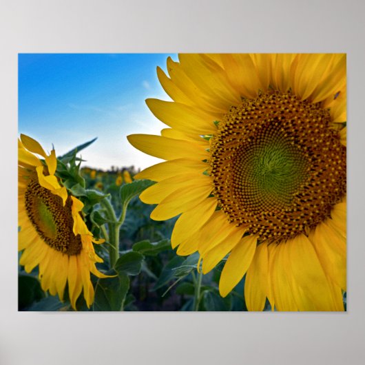 Naher aussehen poster (Vorne)