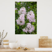 Naher Blick auf Kastanie Poster (Küche)