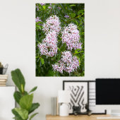 Naher Blick auf Kastanie Poster (Heimbüro)