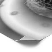 Naher Blick auf Zellteilung Poster (Ecke)