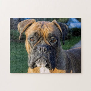 Naher ein Boxer-Hund Puzzle