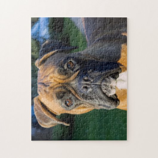 Naher ein Boxer-Hund Puzzle (Vertikal)