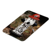 Naher Einsatz von Feuerlöschanlagen Magnet (Linke Seite)