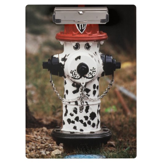 Naher Einsatz von Feuerlöschmitteln Klemmbrett (Vorderseite)