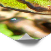Naher Frosch Poster (Ecke)