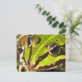 Naher Frosch Postkarte (Stehend Vorderseite)