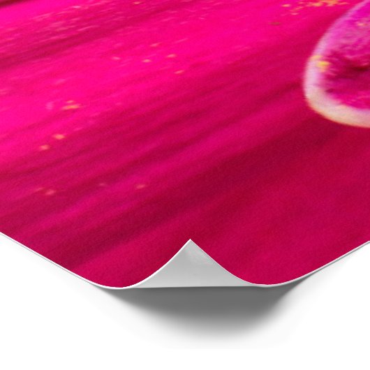 Naher Gerberschwanz Poster (Ecke)