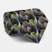 Naher Grizzly Bär Krawatte (Gerollt)