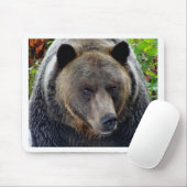 Naher Grizzly Bär Mousepad (Mit Mouse)