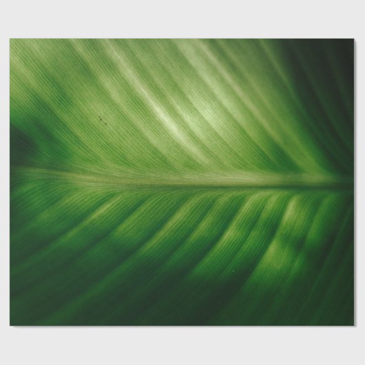 Naher grüner Elf Geschenkpapier (Flach)