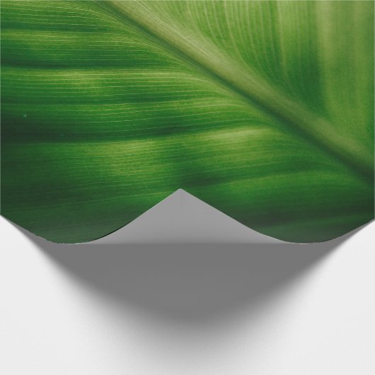 Naher grüner Elf Geschenkpapier (Ecke)