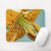 Naher Hals einer Gelblilie Mousepad (Mit Mouse)