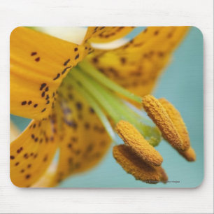 Naher Hals einer Gelblilie Mousepad