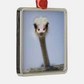 Naher hoher Ostrichkopf Ornament Aus Metall (Rechts)