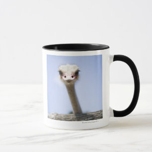 Naher hoher Ostrichkopf Tasse