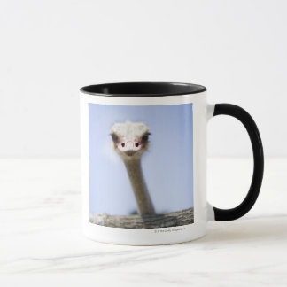 Naher hoher Ostrichkopf Tasse