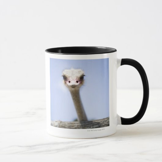 Naher hoher Ostrichkopf Tasse (Rechts)